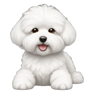 fluffy bichon frise laying down sticker