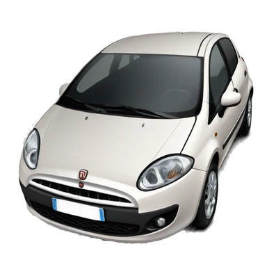 Fiat grande punto 2009  sticker