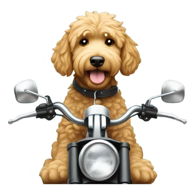 golden doodle on a motorcycle sticker