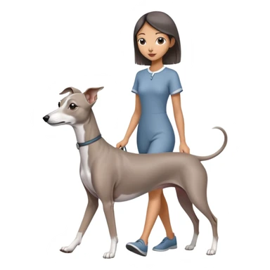 Beautiful Asian girl with cute features walking an all grey Italian greyhound with no white nose sticker