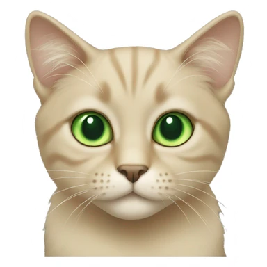 Beige cat with green eyes long hair sticker