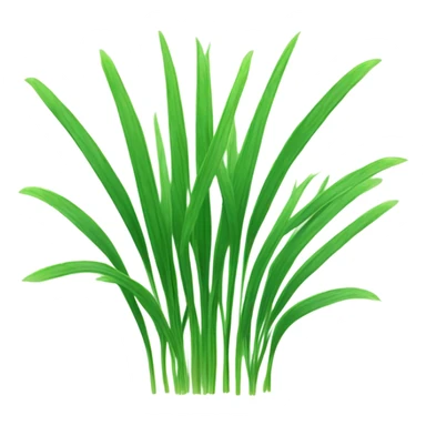 Barley grass sticker