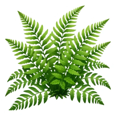 A cluster of soft green ferns growing under shaded trees.









































 sticker