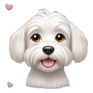  dog Maltese Face with a few hearts around her head sticker