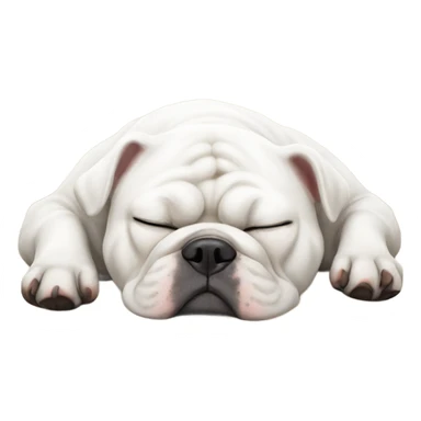 White bulldog sleeping  sticker