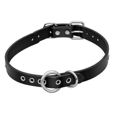 Collar – black leather with silver O-ring. sticker