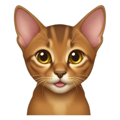 abyssinian kitten sticker