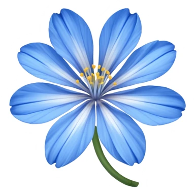 Chicory flower sticker