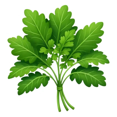 Cilantro sticker