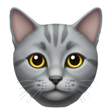 Scottish Grey Cat sticker