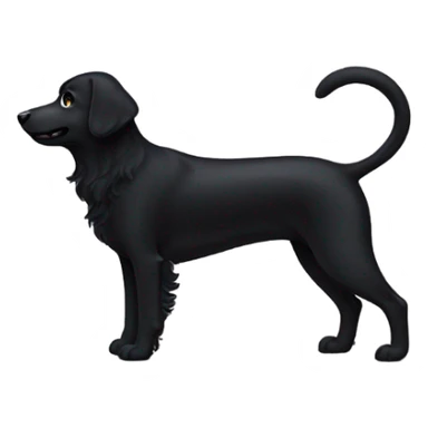 black dog with curly tail sticker