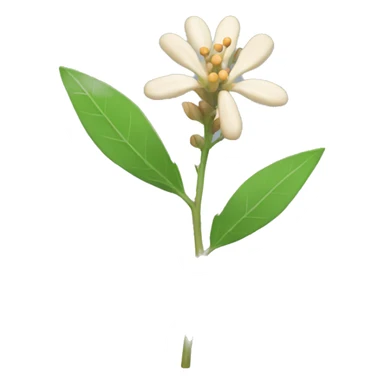 Ashwagandha plant of flower sticker