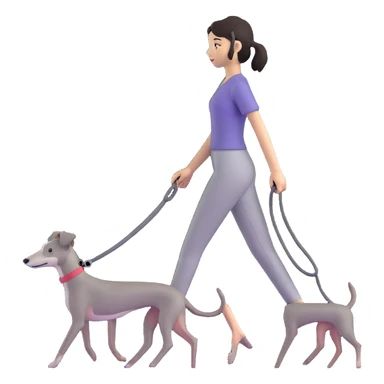 Beautiful Asian girl walking a solid grey Italian greyhound with absolutely no white markings, completely grey dog sticker