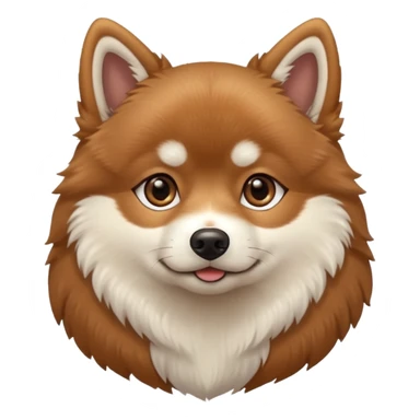 Brown pomsky with white feet sticker