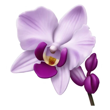 orchids sticker