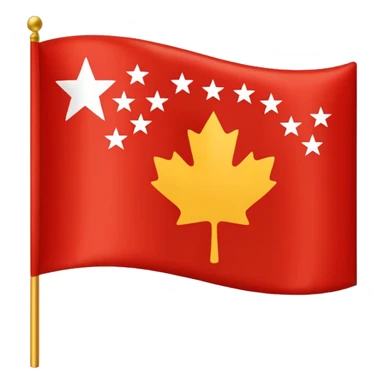 Chinar flag it has 80,000 stars sticker