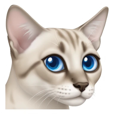 Lynx point Siamese cat with blue eyes  sticker