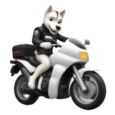 White husky riding motorcycle  sticker