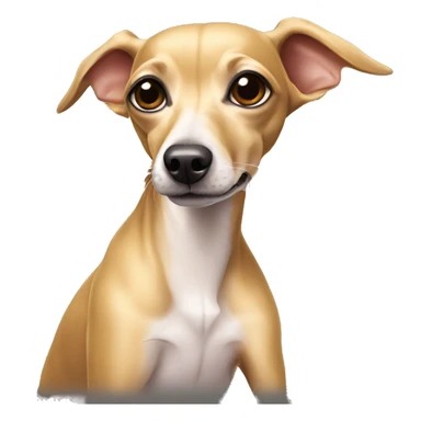 full body golden italian greyhound chihuahua sticker