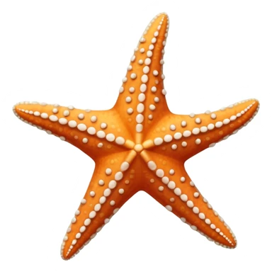 all white star fish sticker