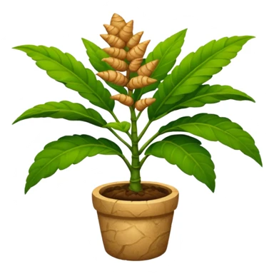 ginger plant sticker