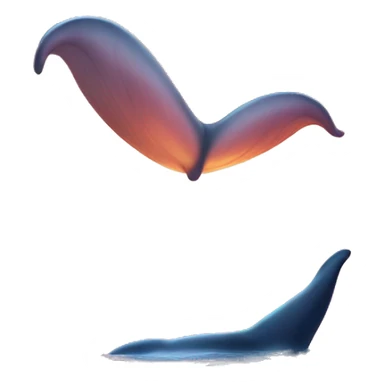 whale tail sunset  sticker