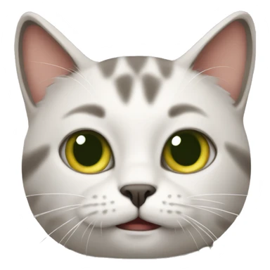 Cat being stupid sticker