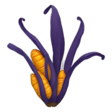 turmeric root sticker