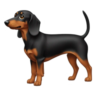 Teckel noir et feu sticker