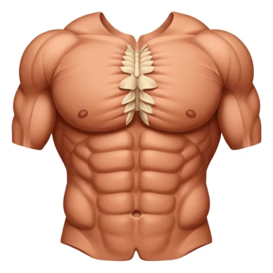 lats muscles tissues  sticker