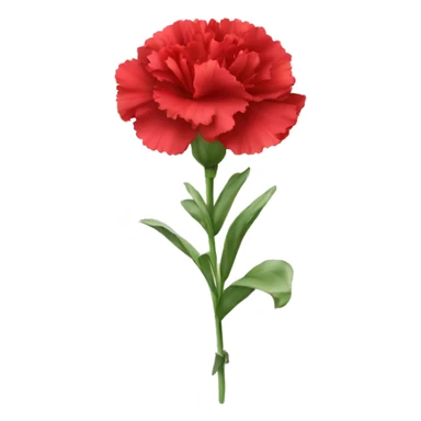 Red Carnation flower sticker