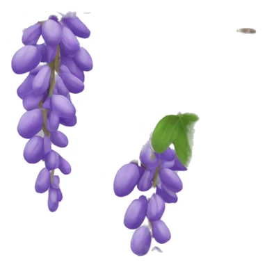 Wysteria vine sticker