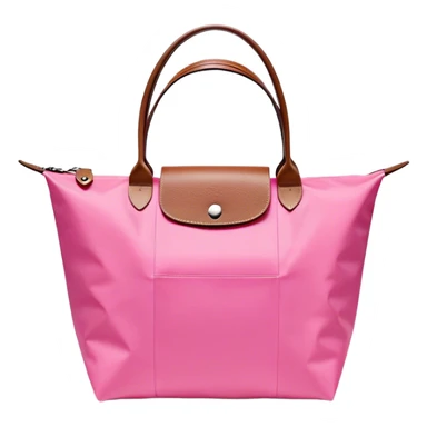 Longchamp bag pink  sticker