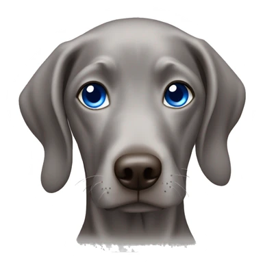 Weimaraner with blue eyes sticker