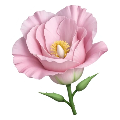 a Beautiful light pink flower Eustoma sticker