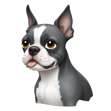 Grey and white Boston terrier  sticker