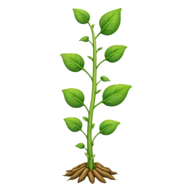 Beanstalk sticker