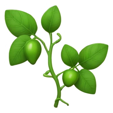 Vine plant without grapes and with leaves sticker