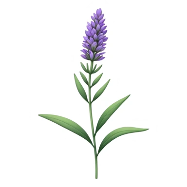 single Lavender, stem, leaf sticker