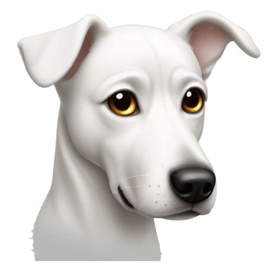 White dog with black eye sticker