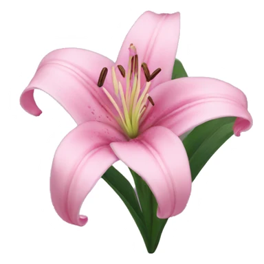 pink lily sticker