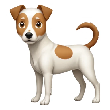 a full body large white parson russell looking dog the size of a kelpie with light brown flopped down ears and a light brown patch on one eye and a large snout sticker
