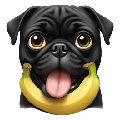 Black pug with banana in mouth sticker
