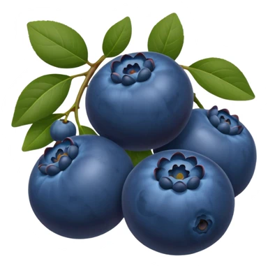blueberries sticker
