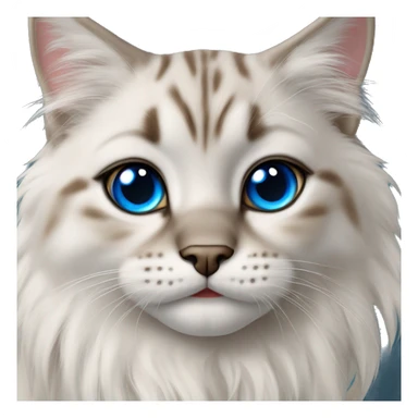 Lynx point rag doll cat blue eyes sticker