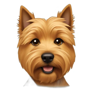 norwich terrier sticker