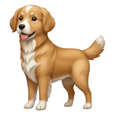 Dog Preliminary Acceptance Inspection sticker