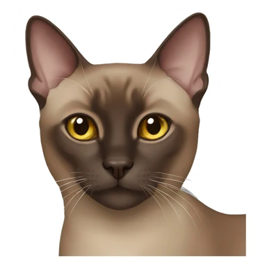 dark brown tonkinese cat sticker