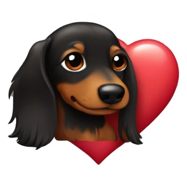 black and brown long haired daschund hugging a heart sticker