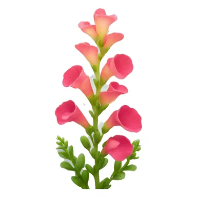 snapdragon flower sticker